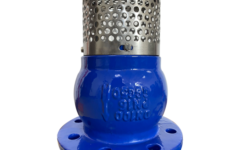 Flanged Cast Iron Foot Valve with Stainless Steel Strainer PN16
