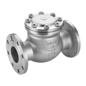 Flanged Lift Check Valve, CF8M, Class 150/300