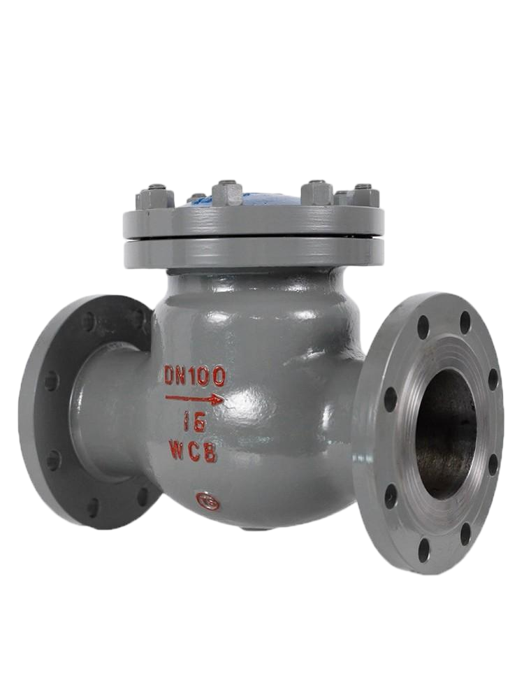 Flanged Lift Check Valve, WCB, Class 150/300