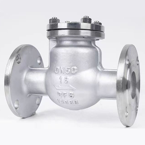 Flanged Swing Check Valve, CF8M, Class 150/300
